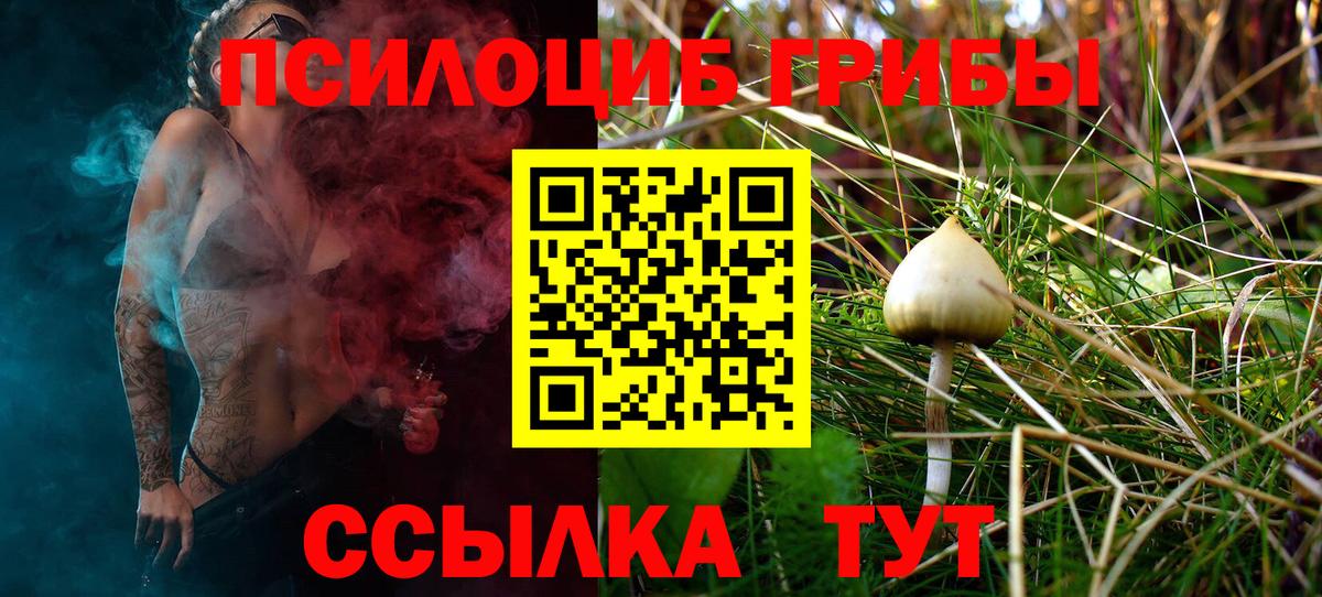 Галлюциногенные грибы MAGIC MUSHROOMS  Вход с VPN  Сызрань 