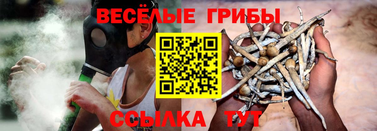 Галлюциногенные грибы MAGIC MUSHROOMS Сызрань